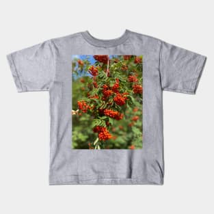 Mountain ash, nature, tree Kids T-Shirt